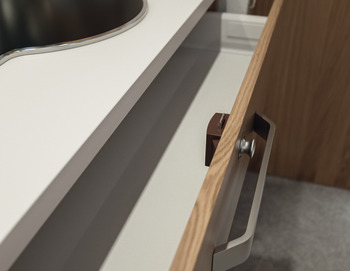 PushButton Lock BS25mm Plastic MN Lacq - view 2