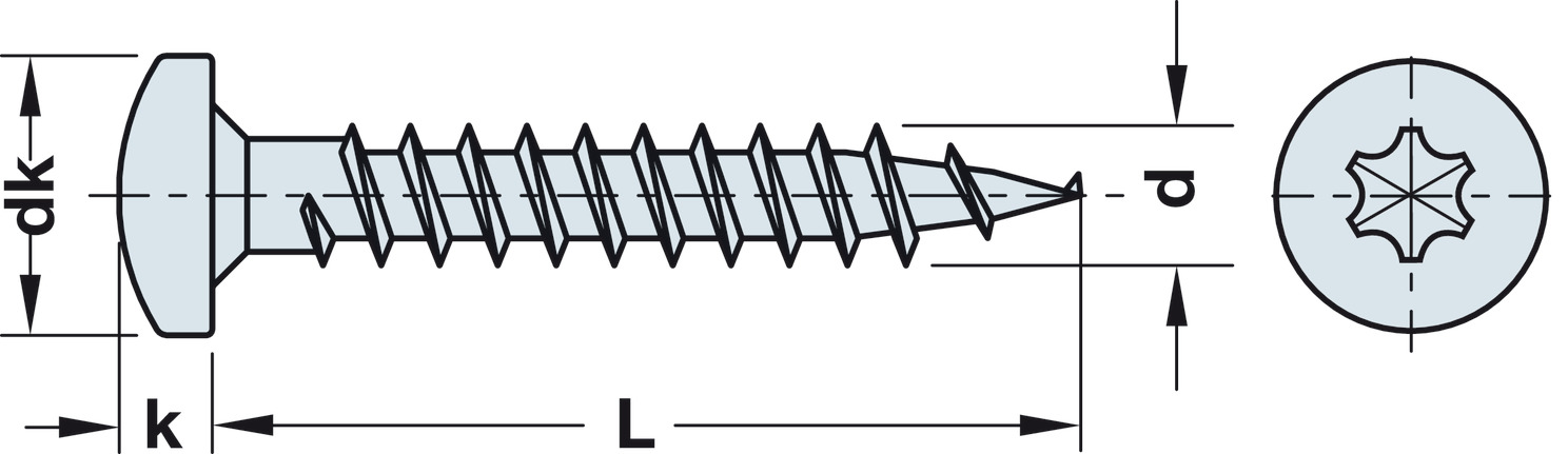 Hospa screw PH.TS gal.4.5x20mm - view 4
