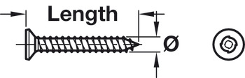 Sentinel Security Screw Countersunk PZ2 4.2x32mm - view 2