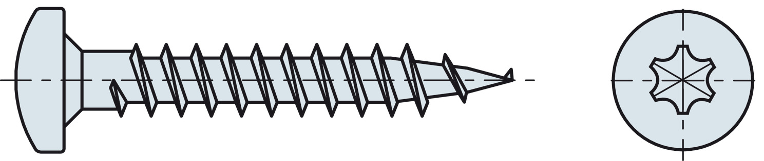 Hospa screw PH.TS gal.4.5x20mm - view 5