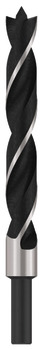 Bosch Pro Drill Bit BradPnt D20x200mm 000.00.795