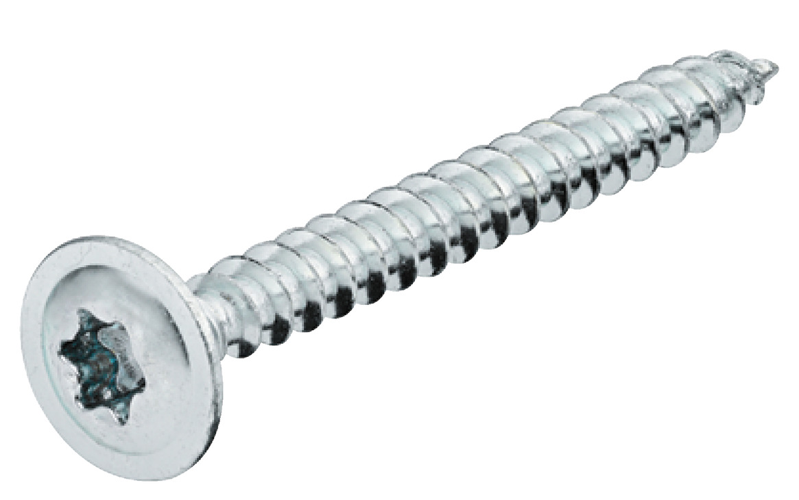 Rear pan.Screw.TS Galvanised. 3.0x25mm 016.16.903