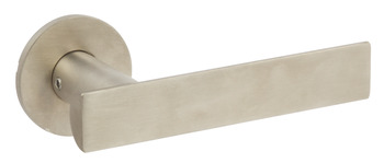 D Section Lever Hdls/Roses 316 PSS