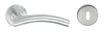 HL03 Lvr Set D53.5mm Std KW 304 SSS