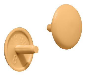 Trim Caps Countersunk D12/2.5mm Phillips Plastic Pine Col 045.04.009
