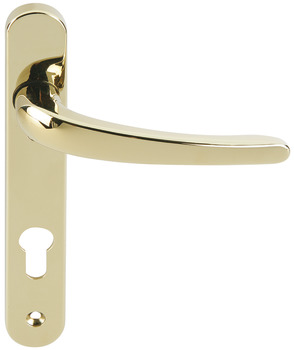 Lvr Hdls/Plt Multipoint Zinc Alloy Polished Chrome